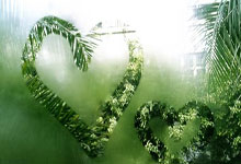 九游娱乐- 罗马赛前迎来里程碑，志在国王杯名次提升，更衣室稳定，高层口径保持一致